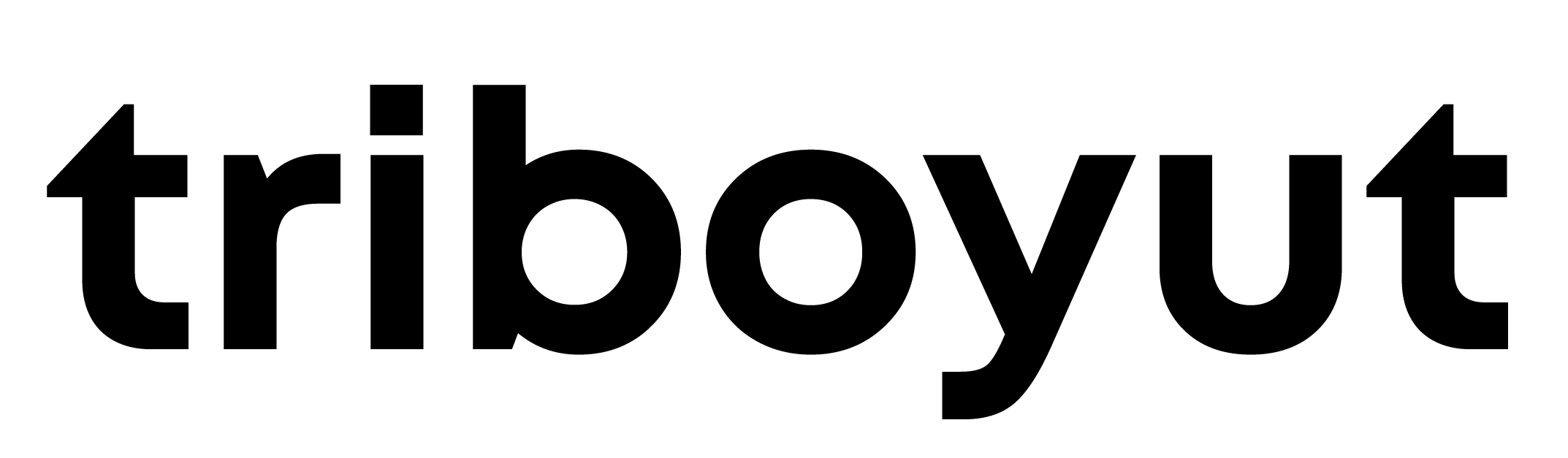 TriBoyut